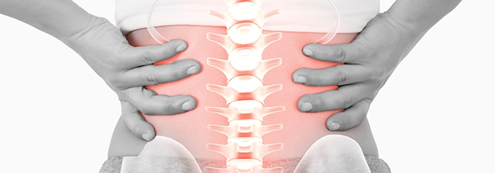 Chiropractic Lutz FL Spinal Care