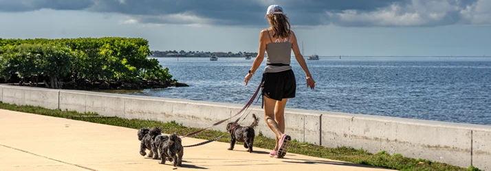 Full Life Chiropractic in Lutz FL
